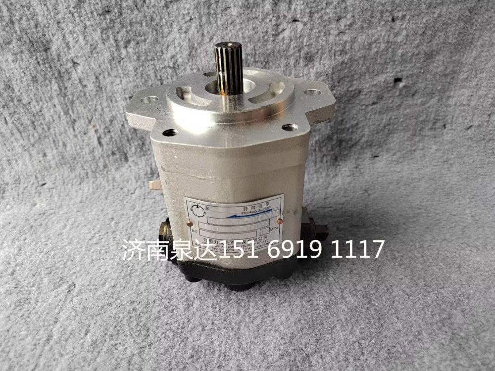 QC18/13-D14XZ,轉(zhuǎn)向助力泵,濟(jì)南泉達(dá)汽配有限公司