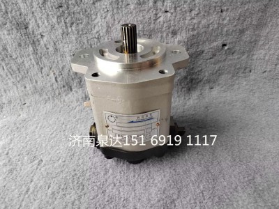 QC18/13-D14XZ,轉(zhuǎn)向助力泵,濟(jì)南泉達(dá)汽配有限公司