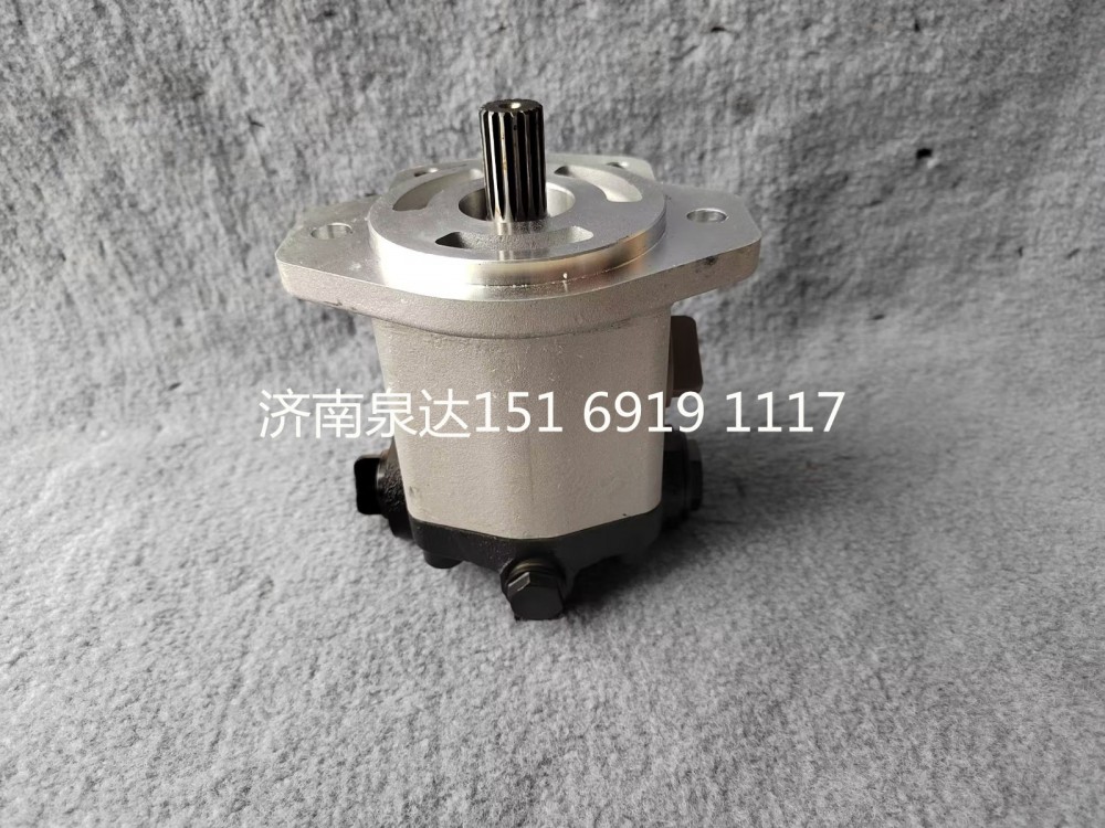 QC18/13-D14XZ,轉(zhuǎn)向助力泵,濟(jì)南泉達(dá)汽配有限公司