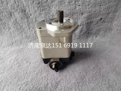 QC18/13-D14XZ,轉(zhuǎn)向助力泵,濟(jì)南泉達(dá)汽配有限公司