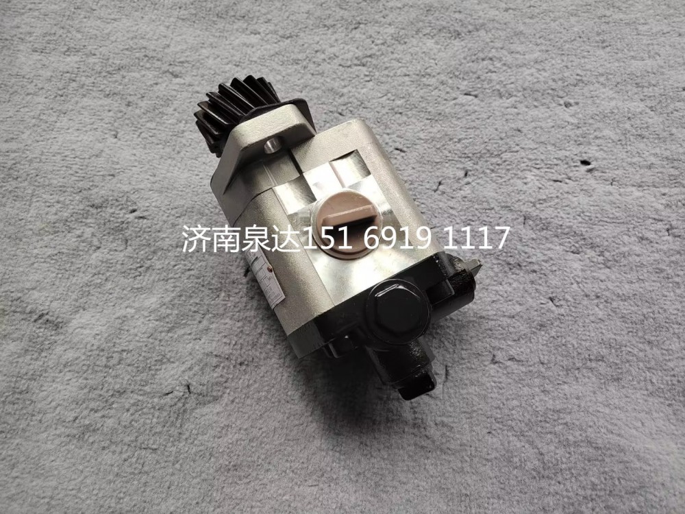 中聯(lián)重科浦沅起重機吊車轉向泵助力泵液壓泵齒輪泵/10323000027