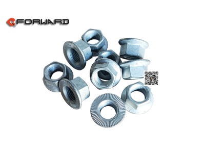 06.11251.2005,Hexagonal nut,濟南向前汽車配件有限公司