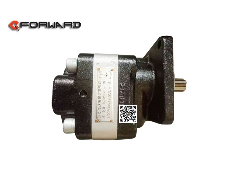 TG53717300200,Gear pump assembly,濟(jì)南向前汽車配件有限公司