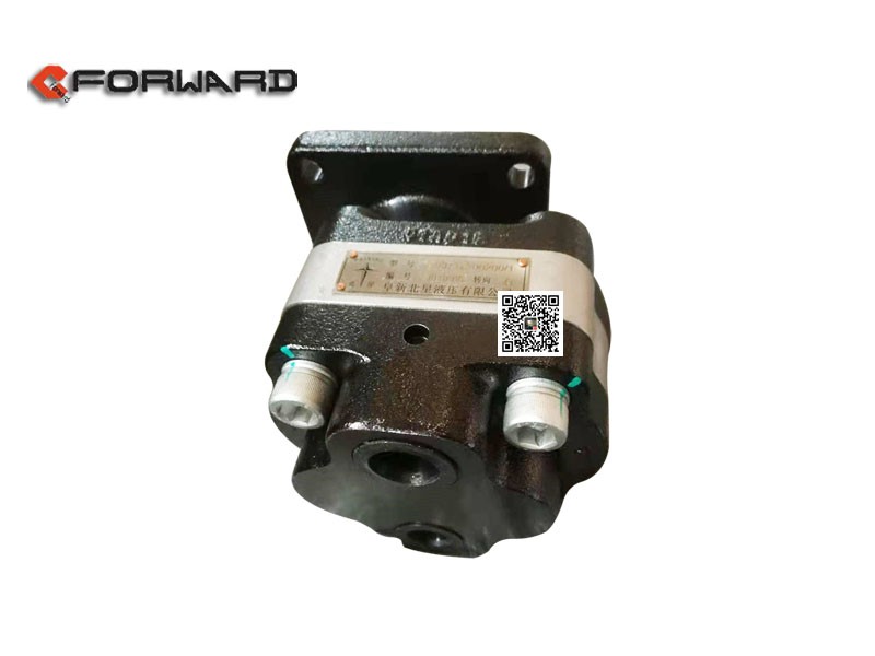 TG53717300200,Gear pump assembly,濟(jì)南向前汽車配件有限公司