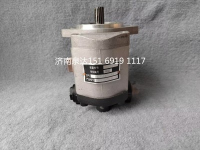 13037488,轉向助力泵,濟南泉達汽配有限公司