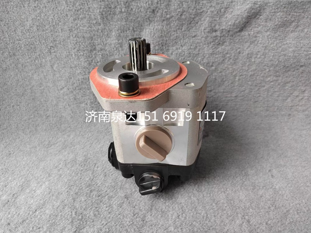 QC18/14-D14XZ,轉(zhuǎn)向助力泵,濟南泉達汽配有限公司