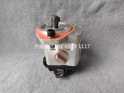 QC18/14-D14XZ,轉(zhuǎn)向助力泵,濟南泉達汽配有限公司