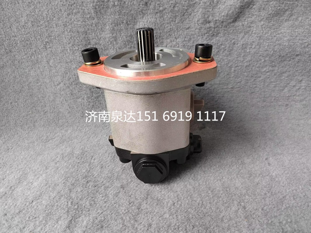 QC18/14-D14XZ,轉(zhuǎn)向助力泵,濟南泉達汽配有限公司