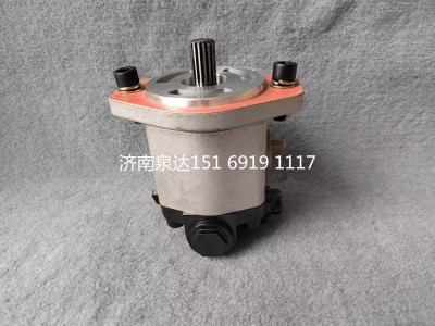 QC18/14-D14XZ,轉(zhuǎn)向助力泵,濟南泉達汽配有限公司