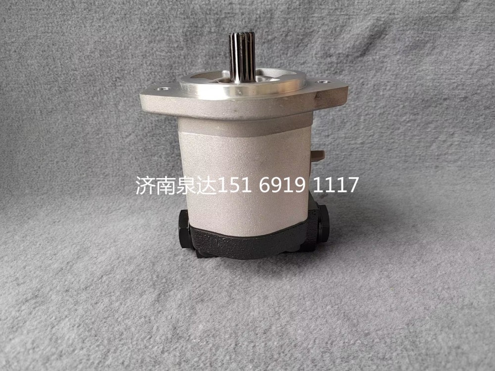 QC20/14-226B,轉向助力泵,濟南泉達汽配有限公司