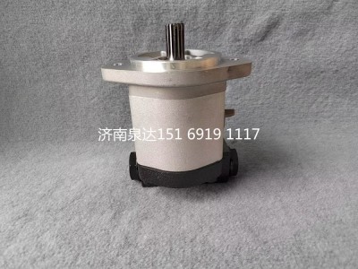 QC20/14-226B,轉向助力泵,濟南泉達汽配有限公司