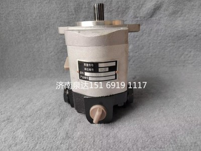 QC20/14-226B,轉向助力泵,濟南泉達汽配有限公司