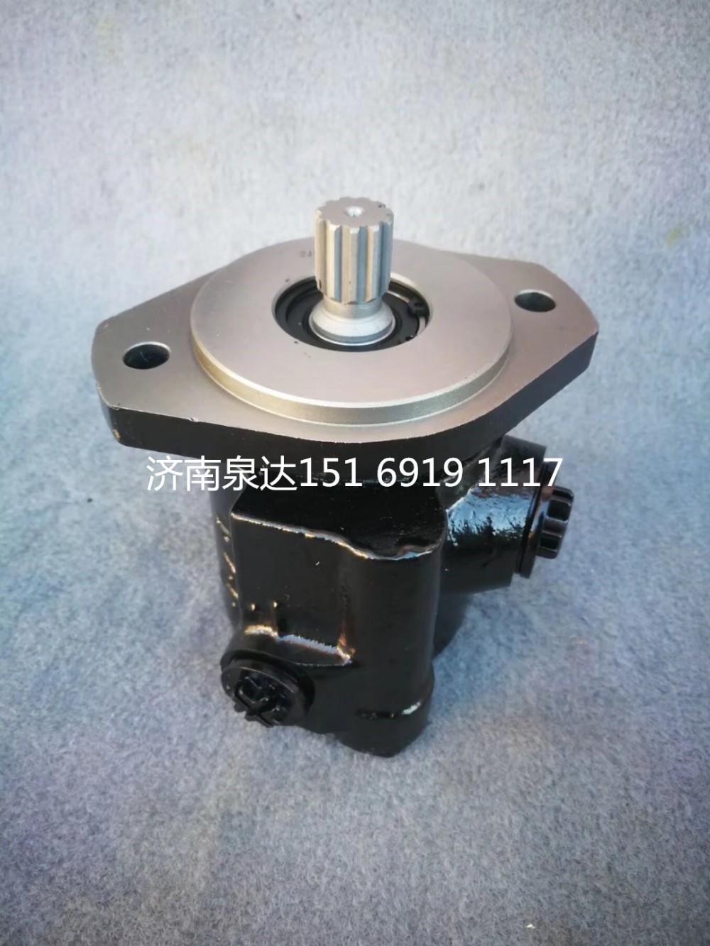 楊柴2105發(fā)動機轉(zhuǎn)向泵助力泵液壓泵/EZ9A109470101