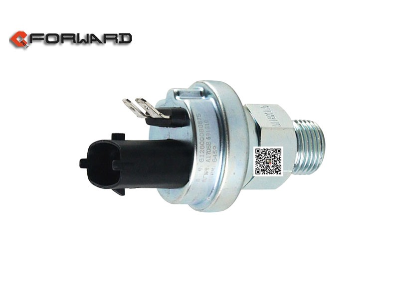 612600080875,Pressure temperature sensor,濟(jì)南向前汽車配件有限公司
