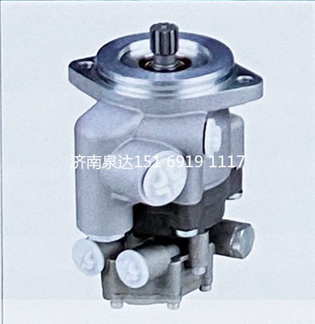 達(dá)夫DAF卡車轉(zhuǎn)向油泵助力泵液壓泵葉片泵/8695955139
