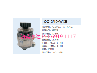 QC12/10-WXB,動(dòng)力轉(zhuǎn)向齒輪泵,濟(jì)南泉達(dá)汽配有限公司