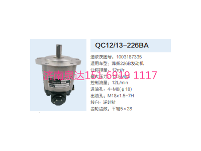 QC12/13-226BA,動力轉(zhuǎn)向齒輪泵,濟南泉達汽配有限公司