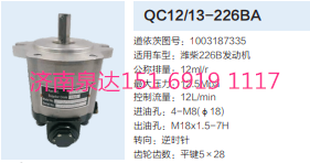 1003187335,動力轉(zhuǎn)向齒輪泵,濟南泉達汽配有限公司