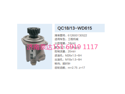 612600130522,動力轉(zhuǎn)向齒輪泵,濟南泉達汽配有限公司