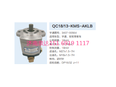 QC18/13-KMS-AKLB,動(dòng)力轉(zhuǎn)向齒輪泵,濟(jì)南泉達(dá)汽配有限公司