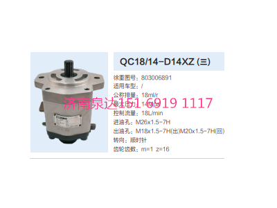 803006891,動力轉(zhuǎn)向齒輪泵,濟(jì)南泉達(dá)汽配有限公司