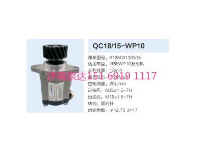 612600130515,動(dòng)力轉(zhuǎn)向齒輪泵,濟(jì)南泉達(dá)汽配有限公司