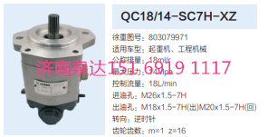 803079971,動力轉向齒輪泵,濟南泉達汽配有限公司