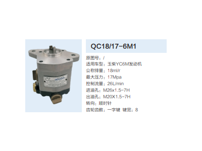 QC18/17-6M1,動力轉(zhuǎn)向齒輪泵,濟南泉達(dá)汽配有限公司