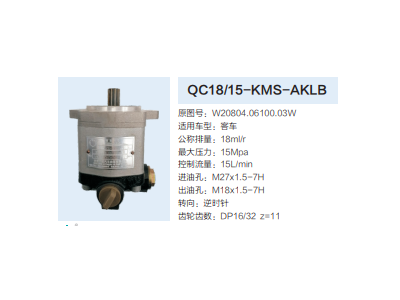 QC18/15-KMS-AKLB,動力轉(zhuǎn)向齒輪泵,濟南泉達汽配有限公司