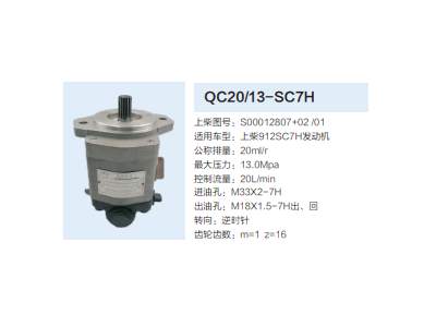 QC20/13-SC7H,動力轉向齒輪泵,濟南泉達汽配有限公司