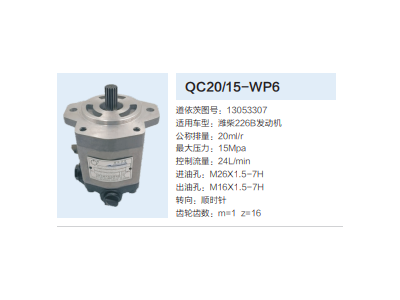 QC20/15-WP6,動(dòng)力轉(zhuǎn)向齒輪泵,濟(jì)南泉達(dá)汽配有限公司
