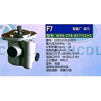 轉(zhuǎn)向泵，助力泵，液壓泵，葉片泵WX6-ZYB-B57/51H1， DZ93319130005