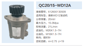 612600130509,齒輪泵,濟南泉達汽配有限公司