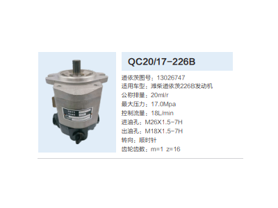 QC20/17-226B,齒輪泵,濟南泉達汽配有限公司