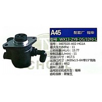 轉(zhuǎn)向泵，助力泵，液壓泵，葉片泵WX13-ZYB-D5/32F0-L，3407020-A02-HG1A