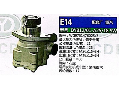 WG9731476025,轉向助力泵,濟南泉達汽配有限公司