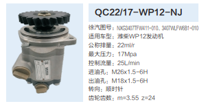 NXG3407TFW411-010,轉(zhuǎn)向助力泵,濟南泉達汽配有限公司