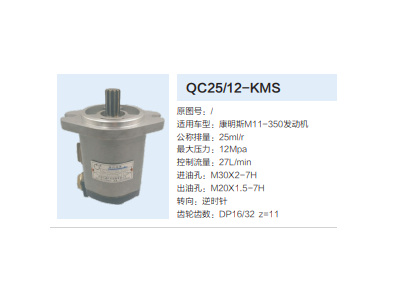 QC25/12-KMS,轉(zhuǎn)向助力泵,濟南泉達汽配有限公司