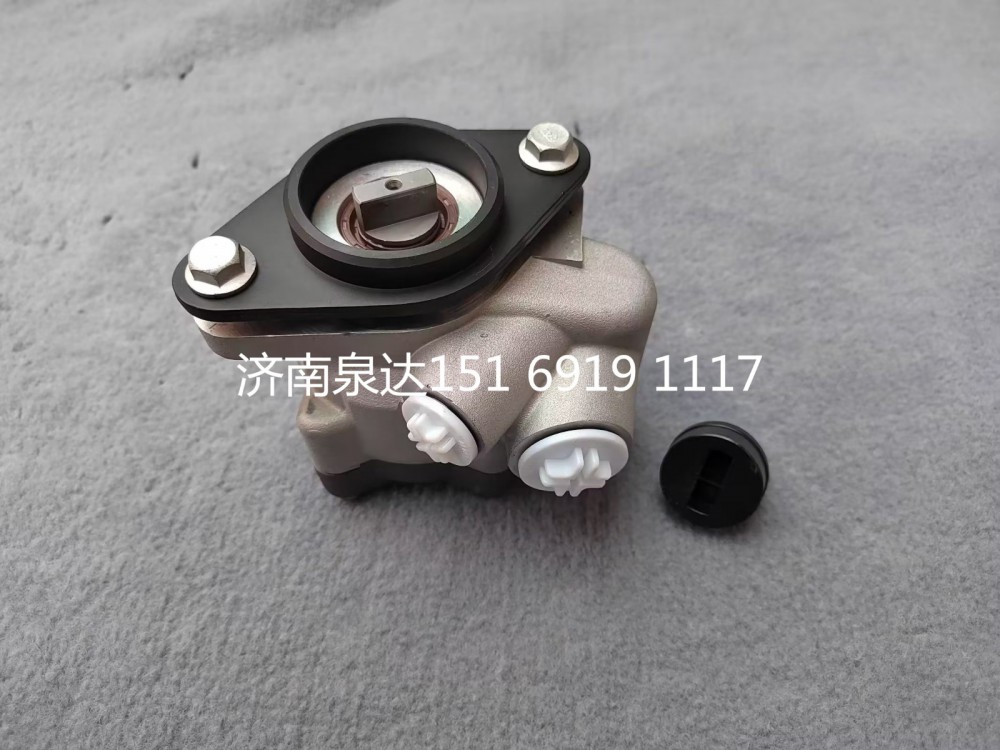 W3407001-GGBEV,轉(zhuǎn)向助力泵,濟南泉達汽配有限公司