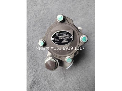 W3407001-GGBEV,轉(zhuǎn)向助力泵,濟南泉達汽配有限公司