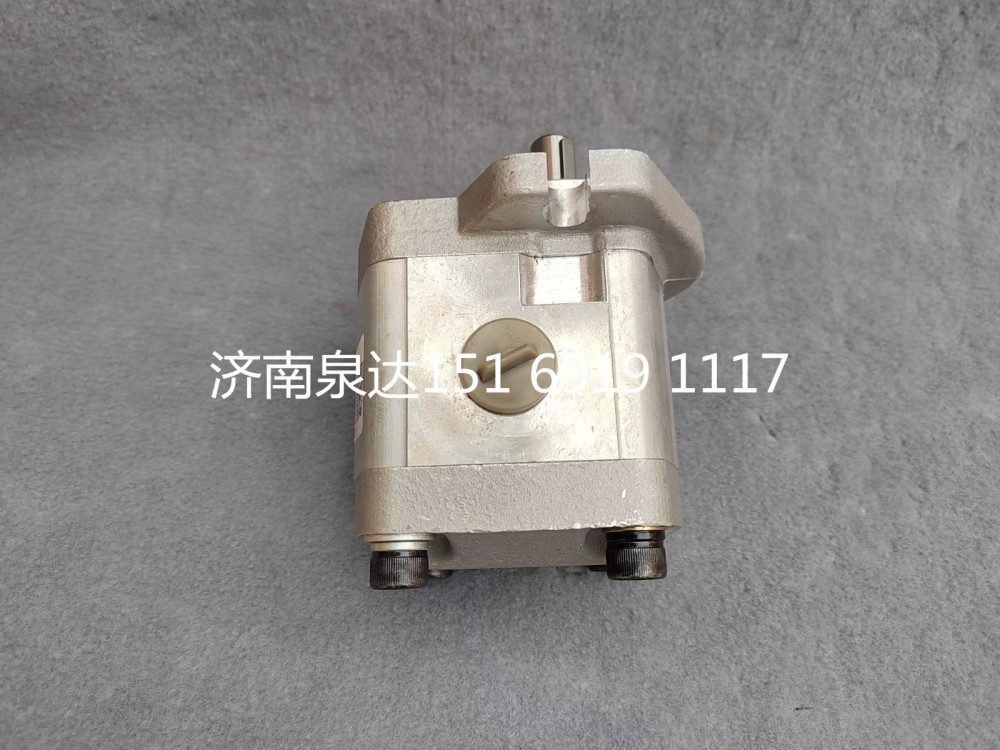 CBW-F311-AL3P,轉(zhuǎn)向助力泵,濟南泉達汽配有限公司