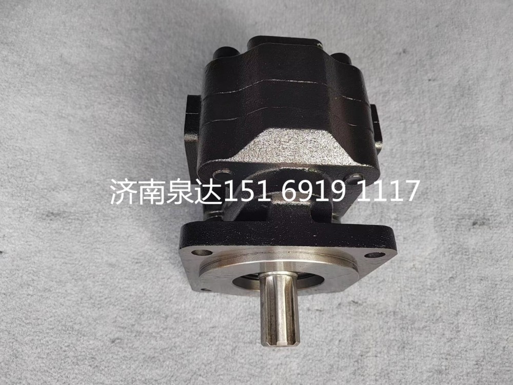 331404099,齒輪泵,濟南泉達(dá)汽配有限公司