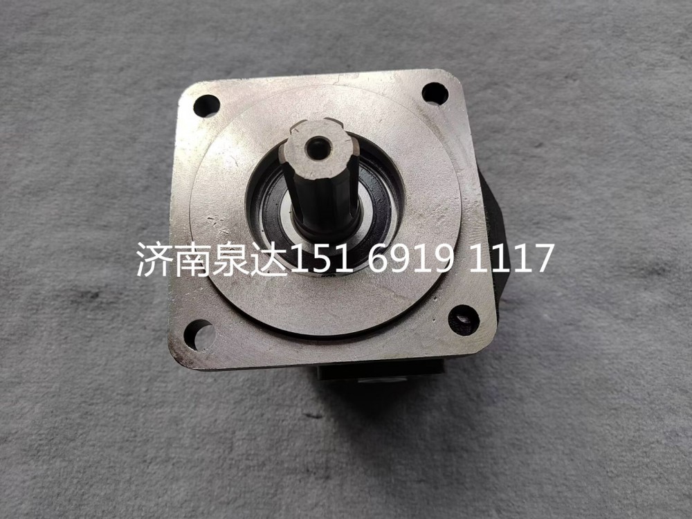 331404099,齒輪泵,濟南泉達(dá)汽配有限公司
