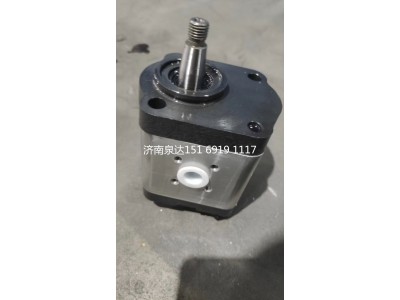 0510615333,轉(zhuǎn)向助力泵,濟(jì)南泉達(dá)汽配有限公司