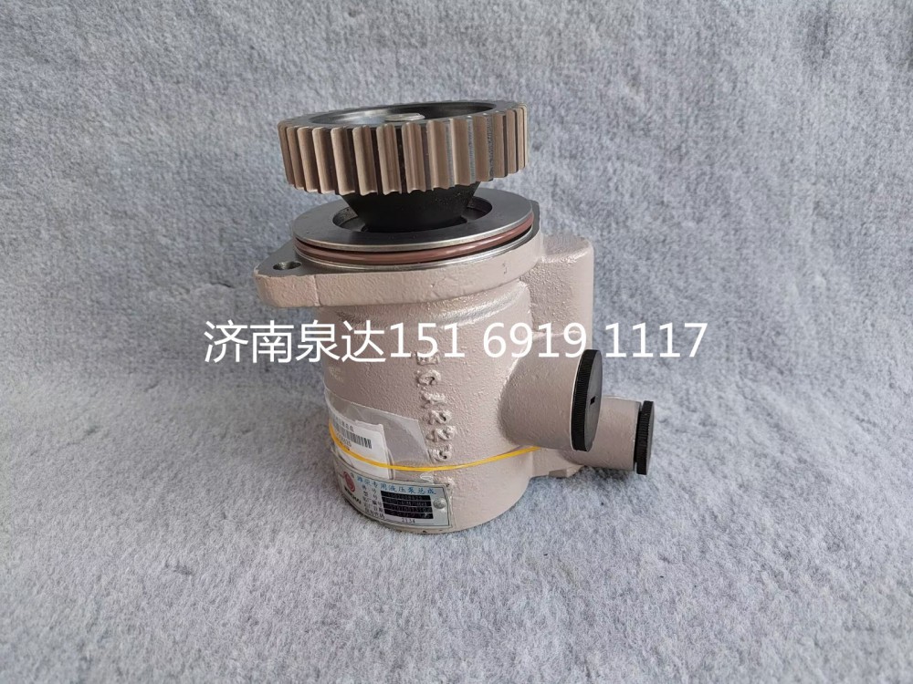 1002008625,轉(zhuǎn)向助力泵,濟南泉達(dá)汽配有限公司