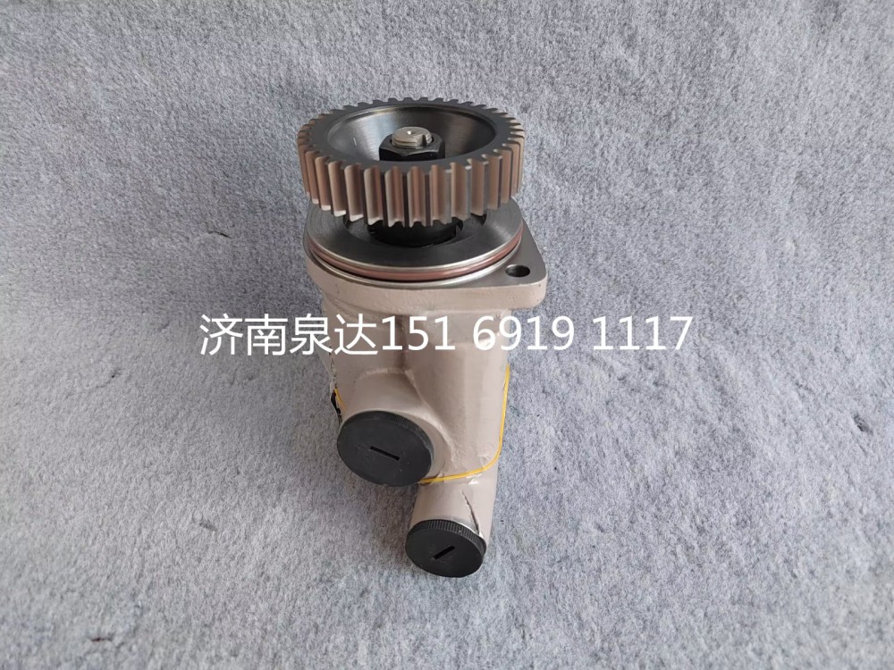 1002008625,轉(zhuǎn)向助力泵,濟南泉達(dá)汽配有限公司