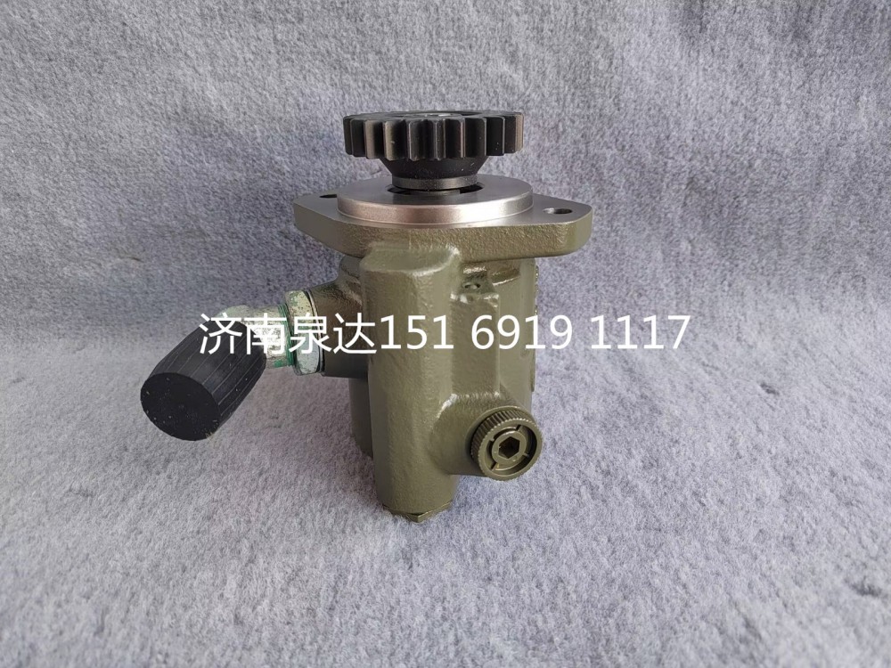 一汽解放轉(zhuǎn)向泵液壓泵葉片泵方向助力泵轉(zhuǎn)子泵/3407020-DP890