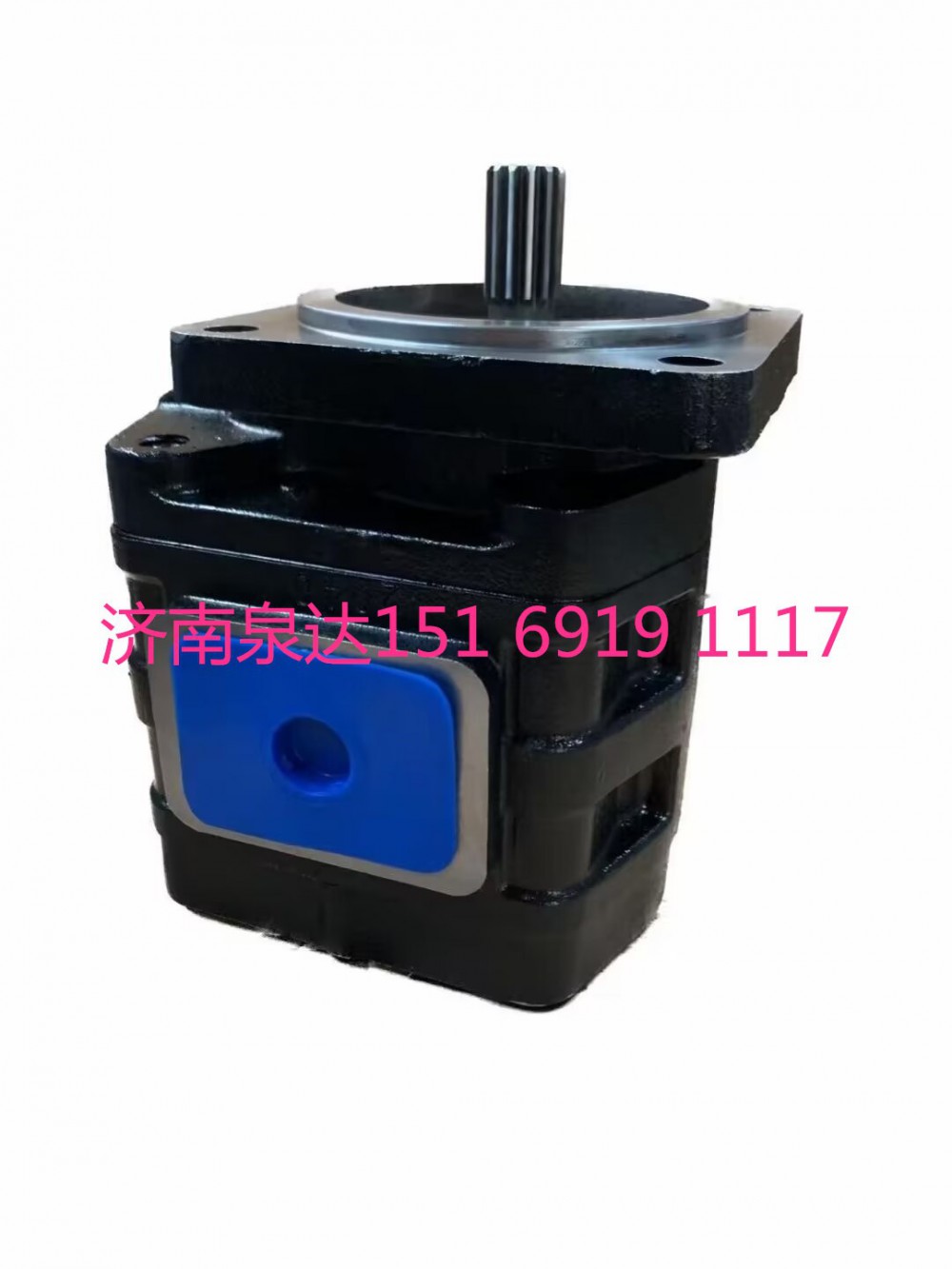01020208020,齒輪泵,濟南泉達汽配有限公司