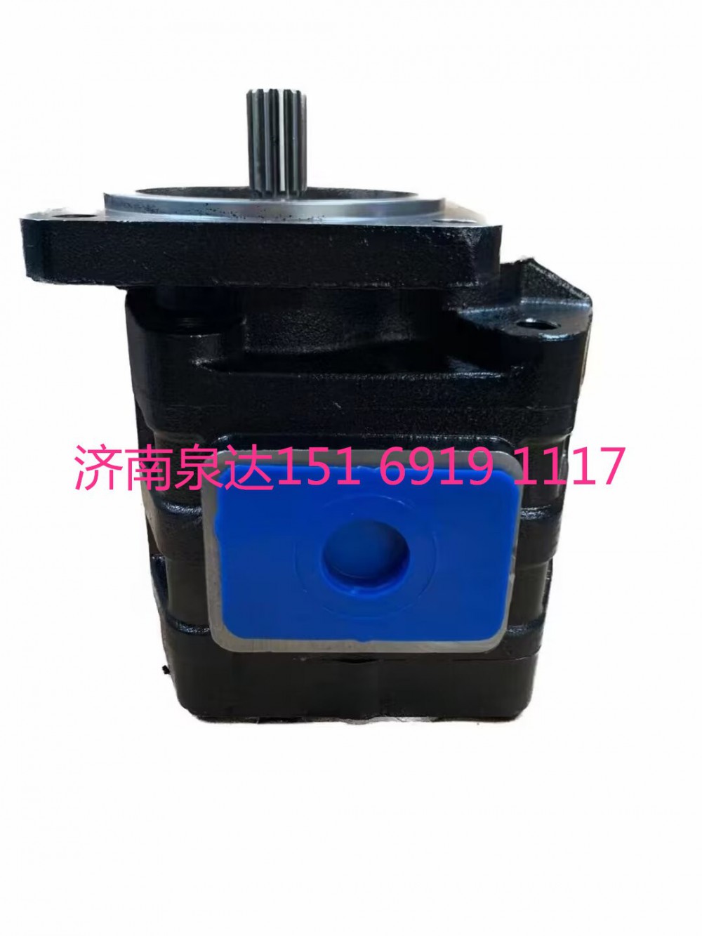 01020208020,齒輪泵,濟南泉達汽配有限公司