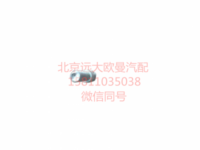 H4371040002A0,右前示廓燈,北京遠(yuǎn)大汽車(chē)配件有限公司
